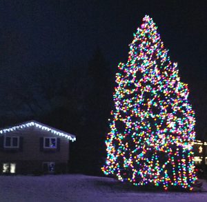 On Black Friday, we hosted a winter tailgating party to celebrate the lighting of this 52 foot tall pine tree in our front yard. 6000 lights of joy!