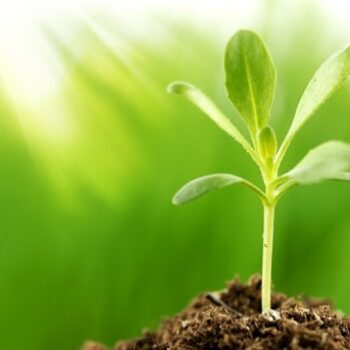 Have you noticed new growth in the talent around you? Now is a good time to coach and develop the people around you who are thriving.